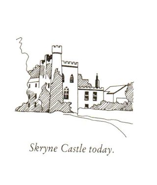 skryne castle 